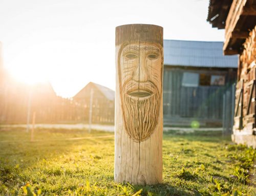 Mituri despre case din busteni